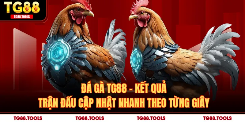 Đá Gà TG88 - Kết Quả Trận Đấu Cập Nhật Nhanh Theo Từng Giây